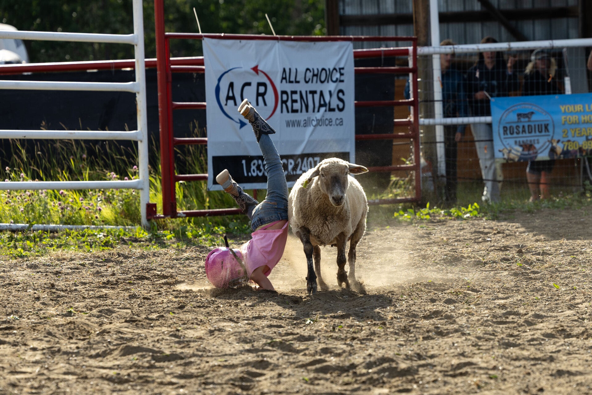 Child competing in mutton bustin